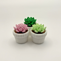 3 Pack 3D Printed Succulent Fidget Toys Mini Potted Plants Desk Decor Gift