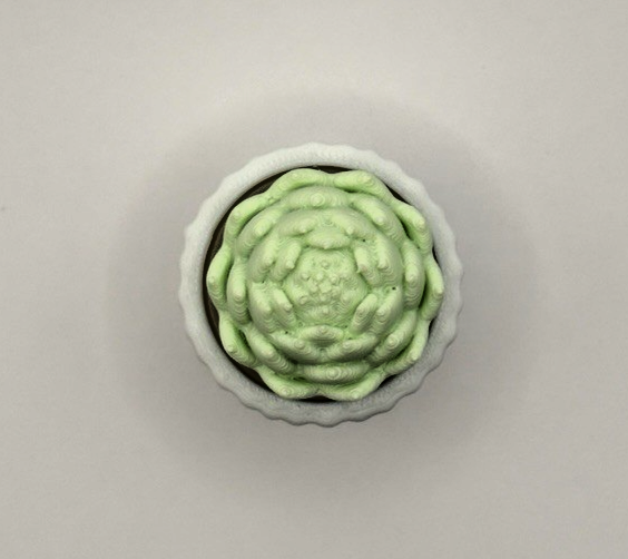 3 Pack 3D Printed Succulent Fidget Toys Mini Potted Plants Desk Decor Gift