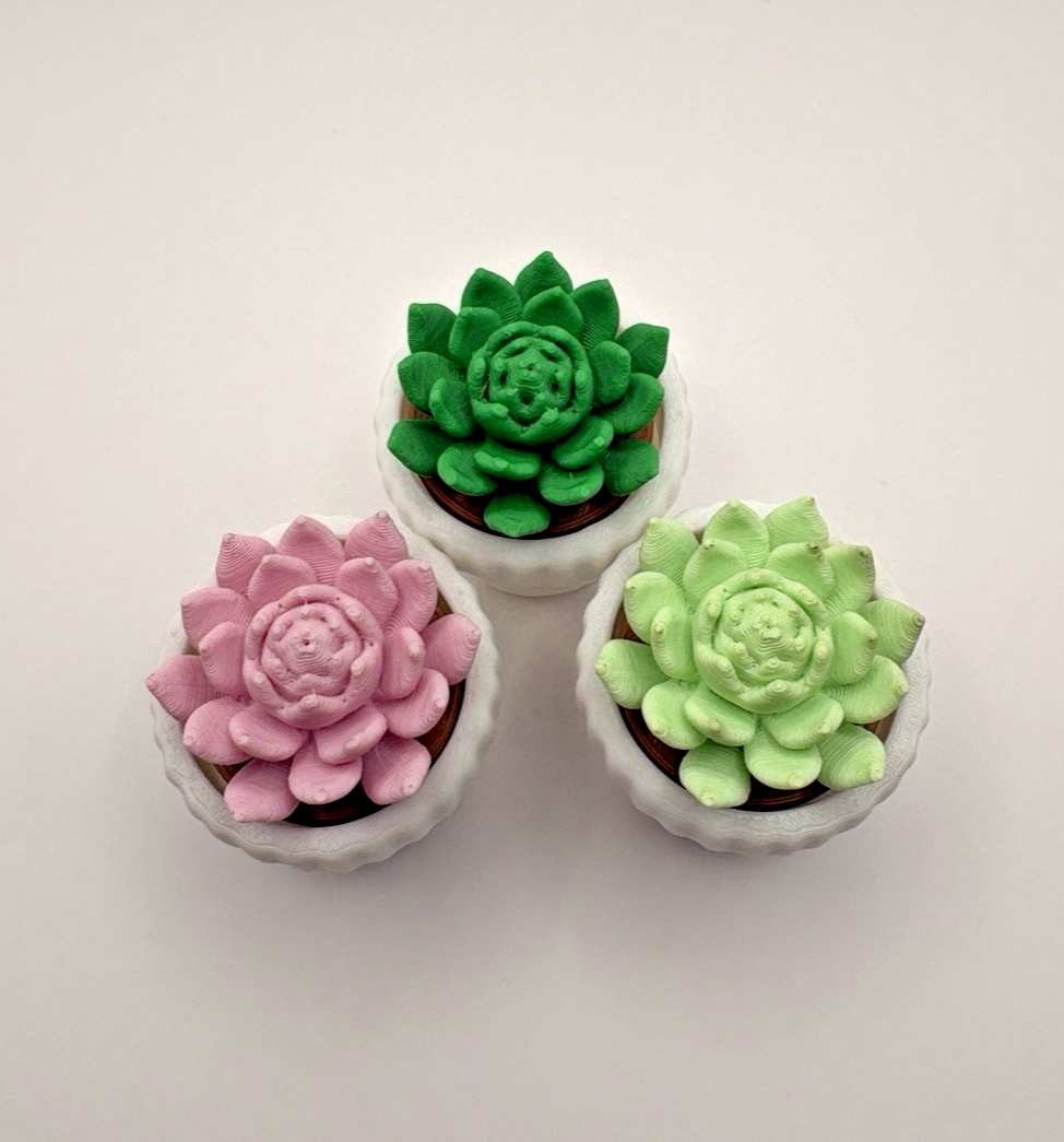 3 Pack 3D Printed Succulent Fidget Toys Mini Potted Plants Desk Decor Gift