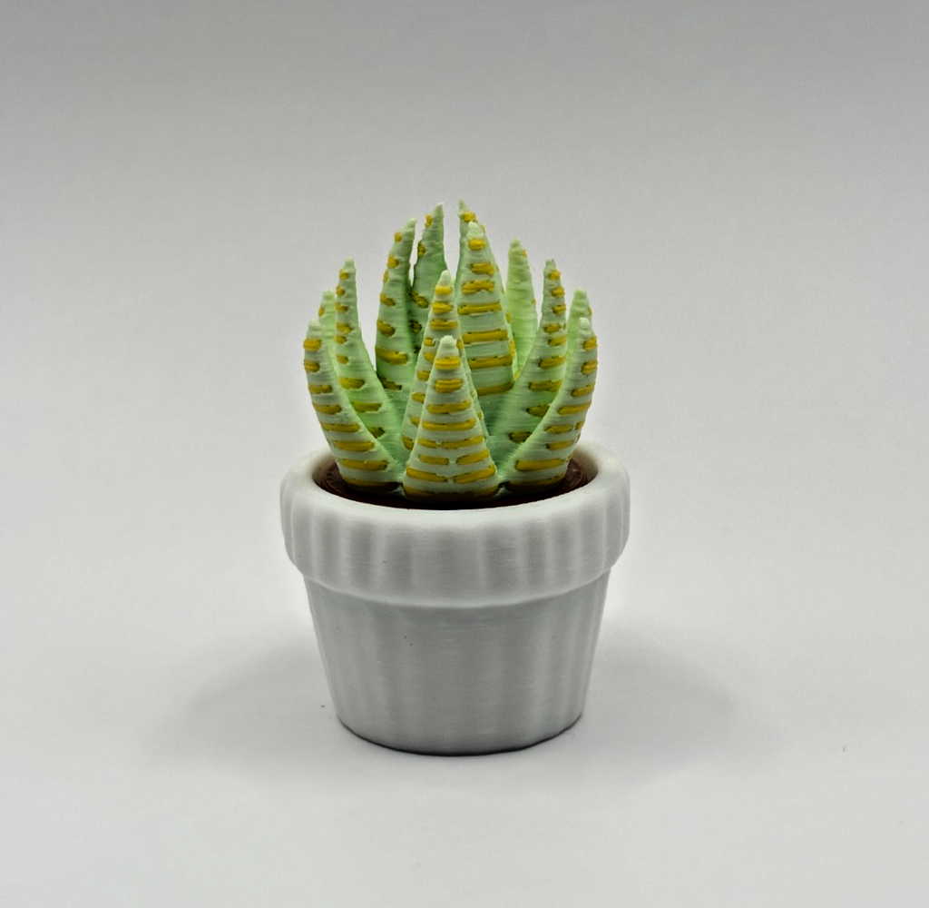 3D Printed Succulent Clicker Fidget Toy Mini Plant Desk Toy Stress Relief
