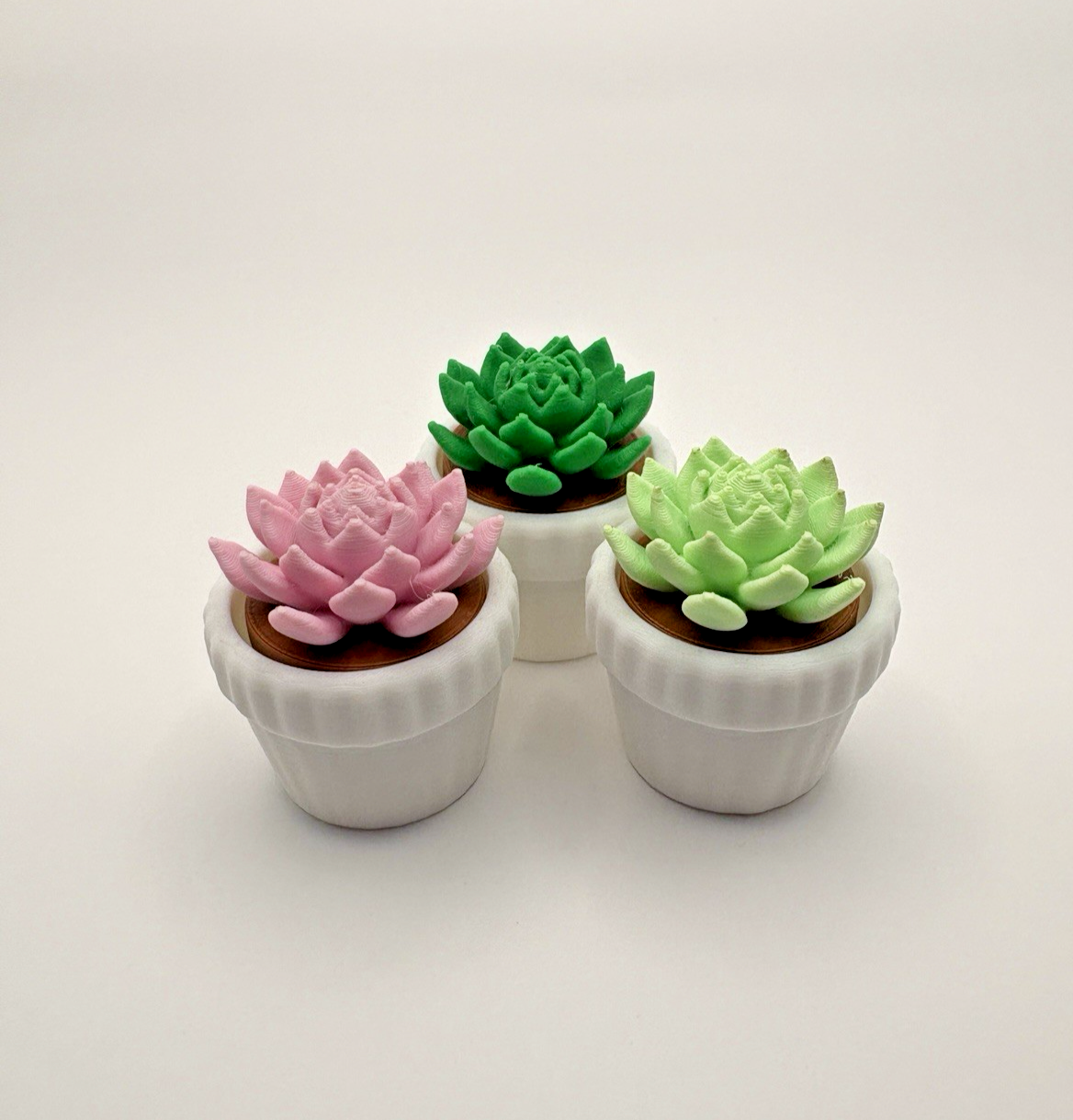 3 Pack 3D Printed Succulent Fidget Toys Mini Potted Plants Desk Decor Gift