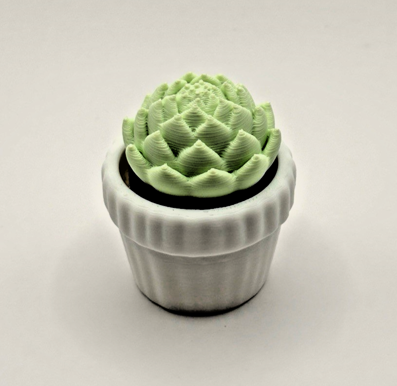 3 Pack 3D Printed Succulent Fidget Toys Mini Potted Plants Desk Decor Gift