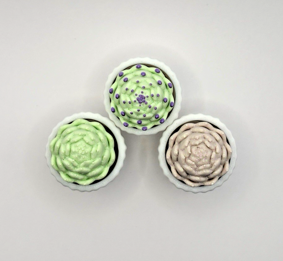 3 Pack 3D Printed Succulent Fidget Toys Mini Potted Plants Desk Decor Gift