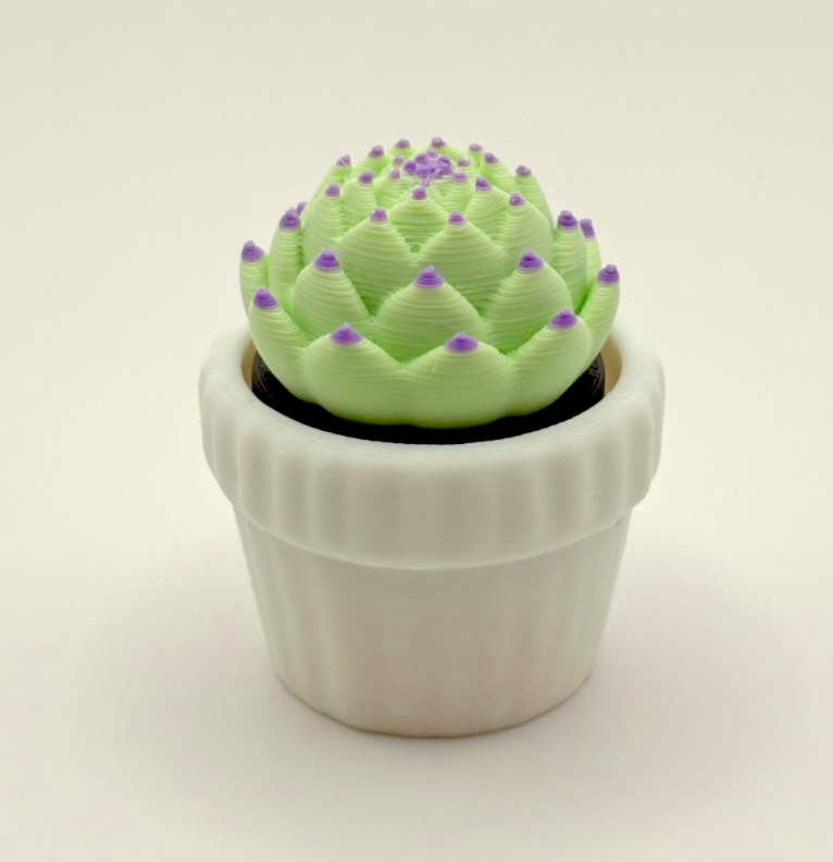 3D Printed Succulent Fidget Toy Mini Potted Plant Desk Toy Choose Color
