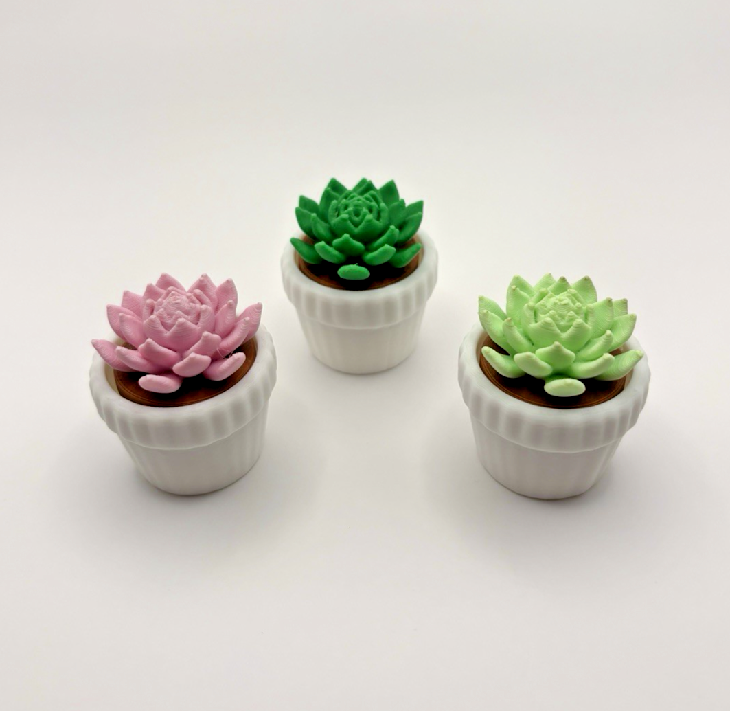 3 Pack 3D Printed Succulent Fidget Toys Mini Potted Plants Desk Decor Gift