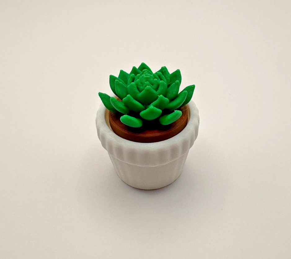 3D Printed Succulent Fidget Toy Mini Potted Plant Desk Decor Stress Relief