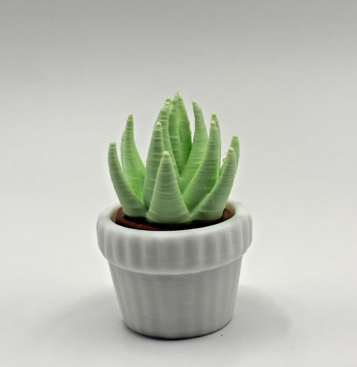 3D Printed Succulent Clicker Fidget Toy Mini Plant Desk Toy Stress Relief