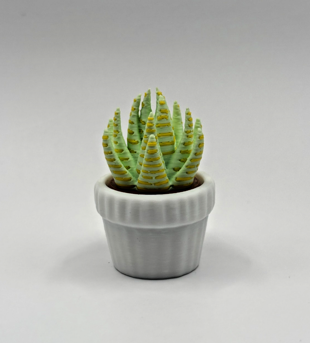 3D Printed Succulent Clicker Fidget Toy Mini Plant Desk Toy Stress Relief