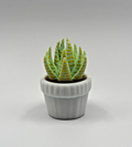 3D Printed Succulent Clicker Fidget Toy Mini Plant Desk Toy Stress Relief