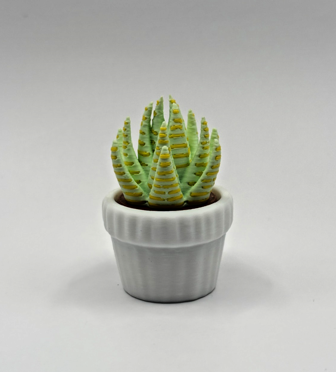 3D Printed Succulent Clicker Fidget Toy Mini Plant Desk Toy Stress Relief