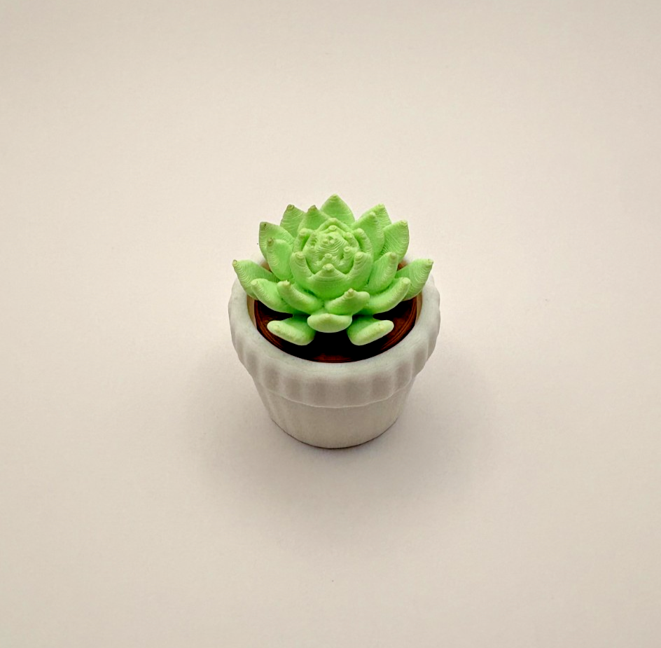 3D Printed Succulent Fidget Toy Mini Potted Plant Desk Decor Stress Relief