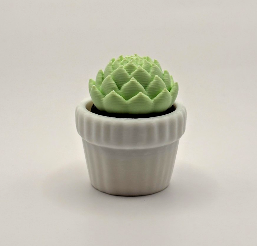 3D Printed Succulent Fidget Toy Mini Potted Plant Desk Toy Choose Color