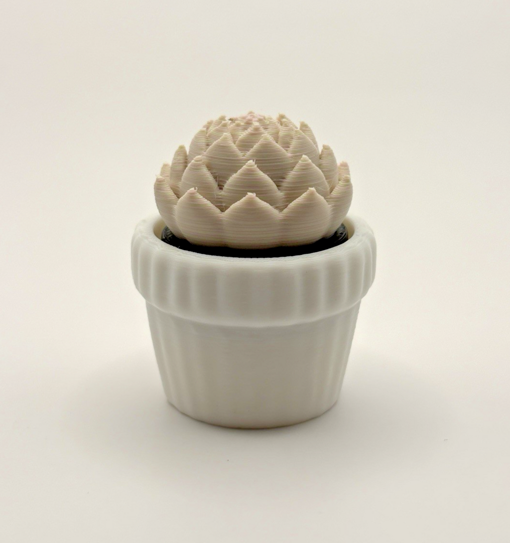 3 Pack 3D Printed Succulent Fidget Toys Mini Potted Plants Desk Decor Gift