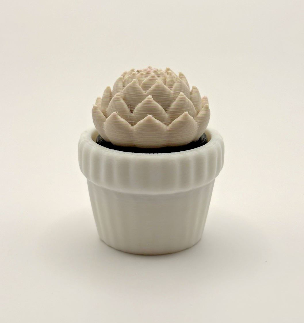 3 Pack 3D Printed Succulent Fidget Toys Mini Potted Plants Desk Decor Gift