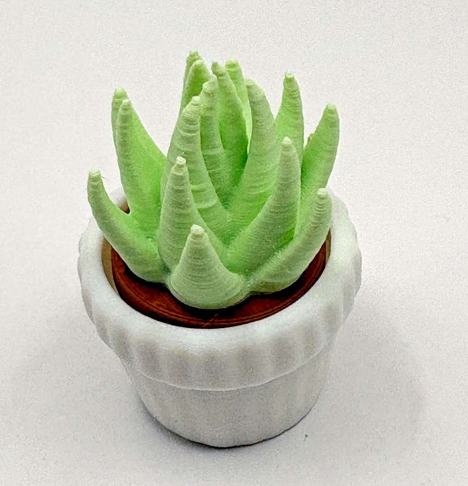 3D Printed Succulent Clicker Fidget Toy Mini Plant Desk Toy Stress Relief
