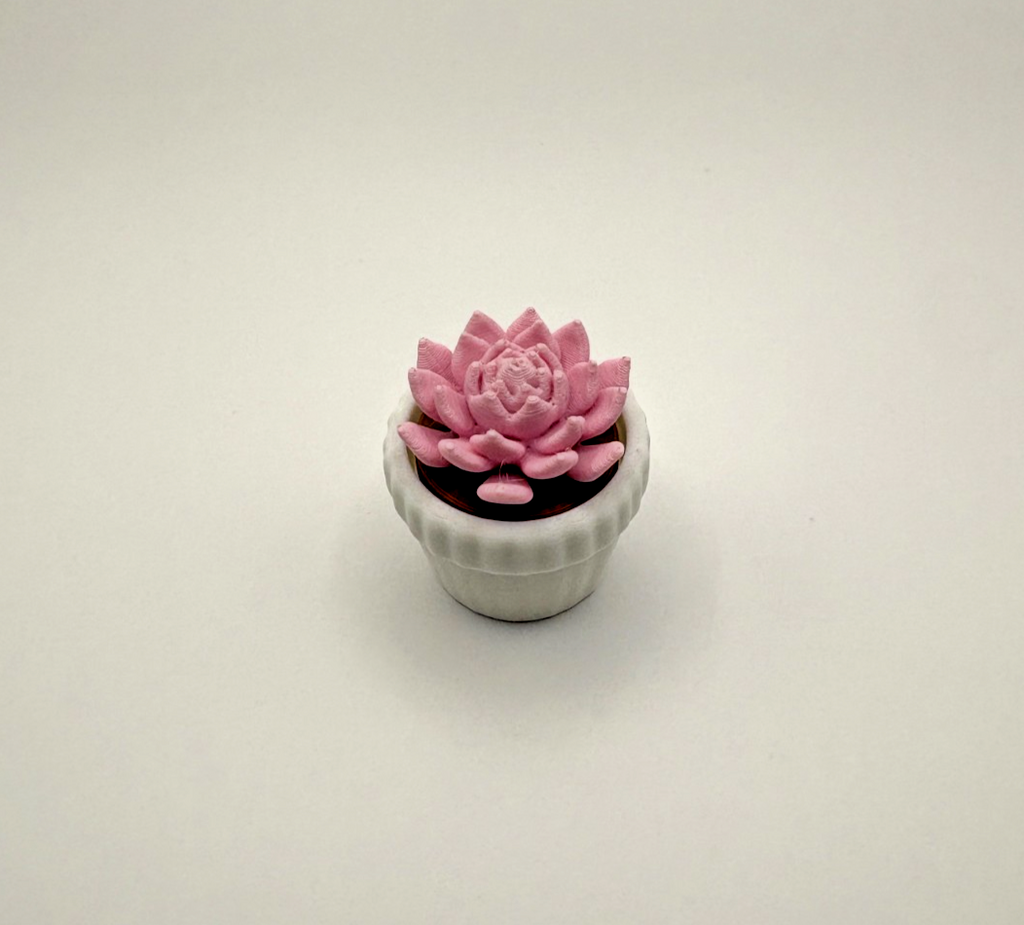 3D Printed Succulent Fidget Toy Mini Potted Plant Desk Decor Stress Relief