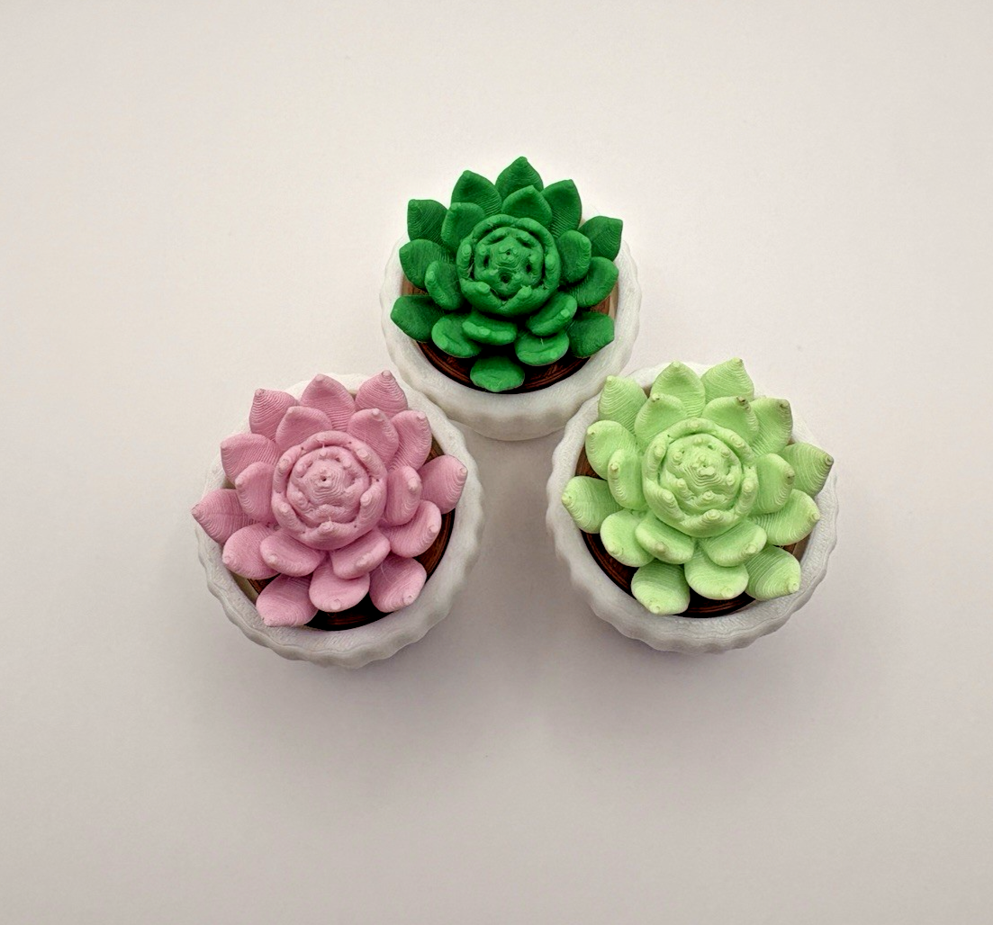 3D Printed Succulent Fidget Toy Mini Potted Plant Desk Decor Stress Relief