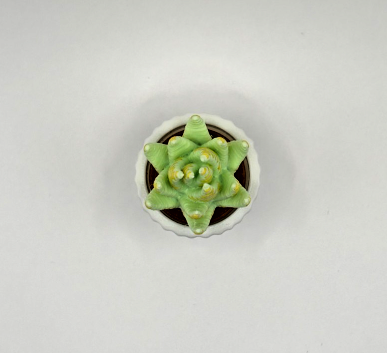 3D Printed Succulent Clicker Fidget Toy Mini Plant Desk Toy Stress Relief