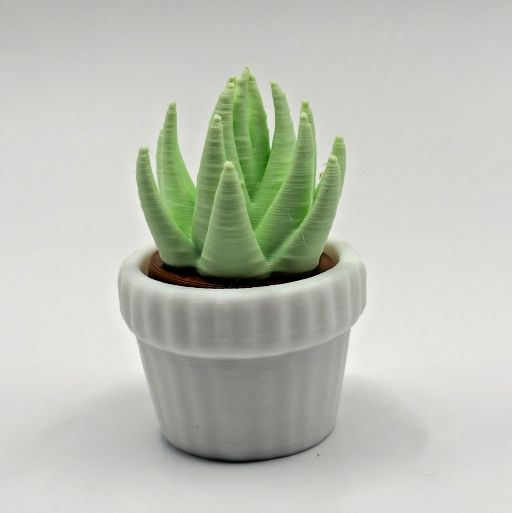 3D Printed Succulent Clicker Fidget Toy Mini Plant Desk Toy Stress Relief