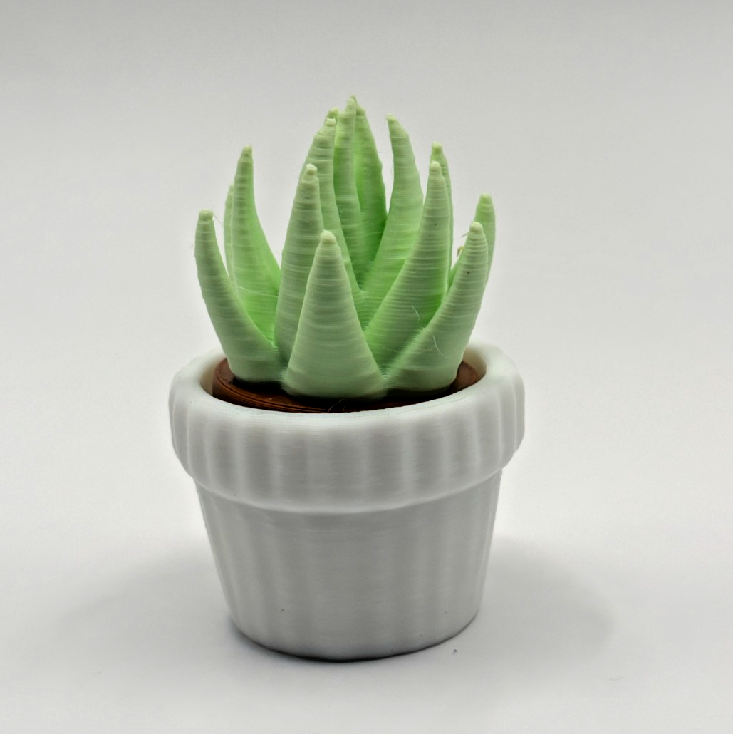 3D Printed Succulent Clicker Fidget Toy Mini Plant Desk Toy Stress Relief