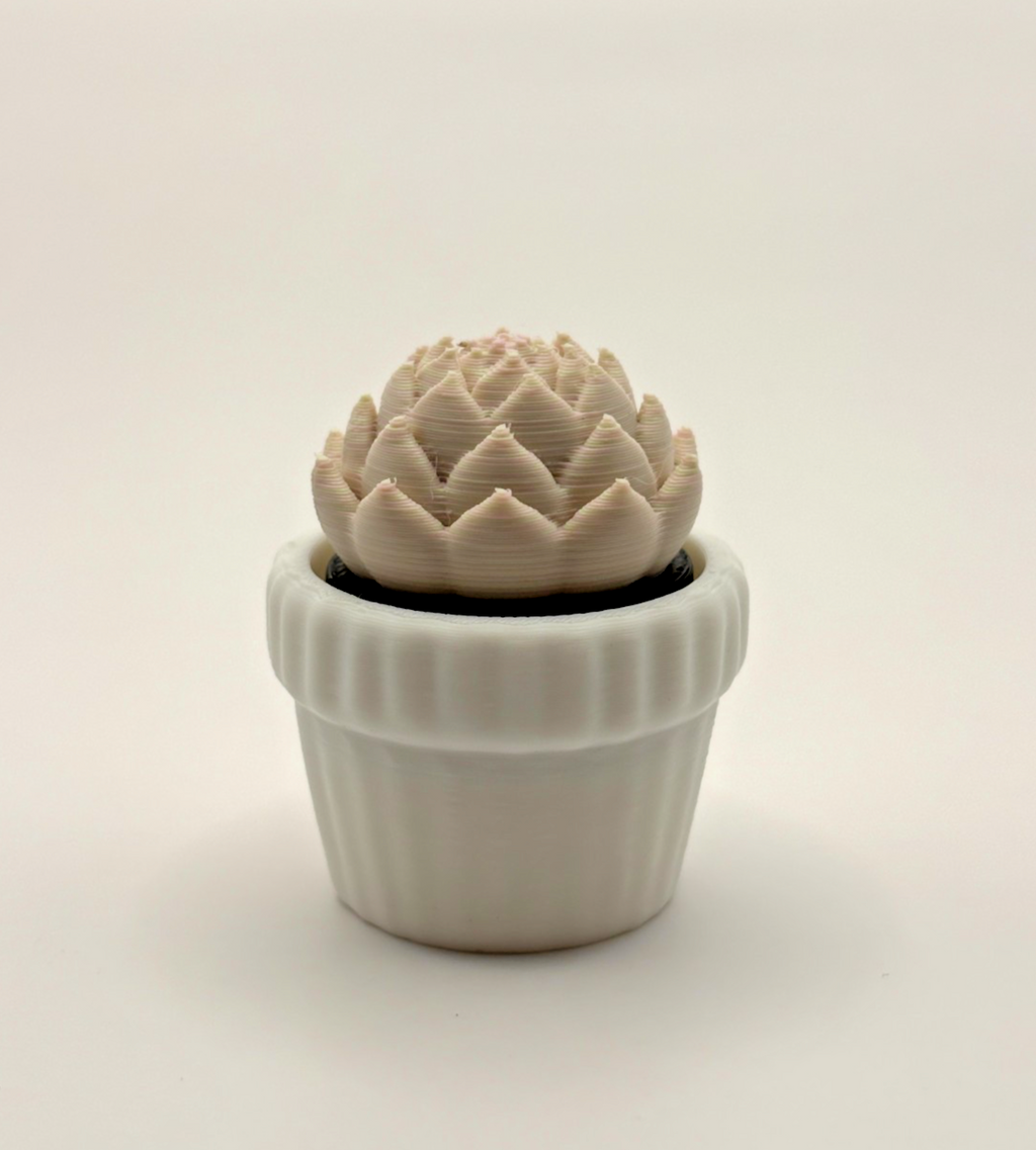 3D Printed Succulent Fidget Toy Mini Potted Plant Desk Toy Choose Color