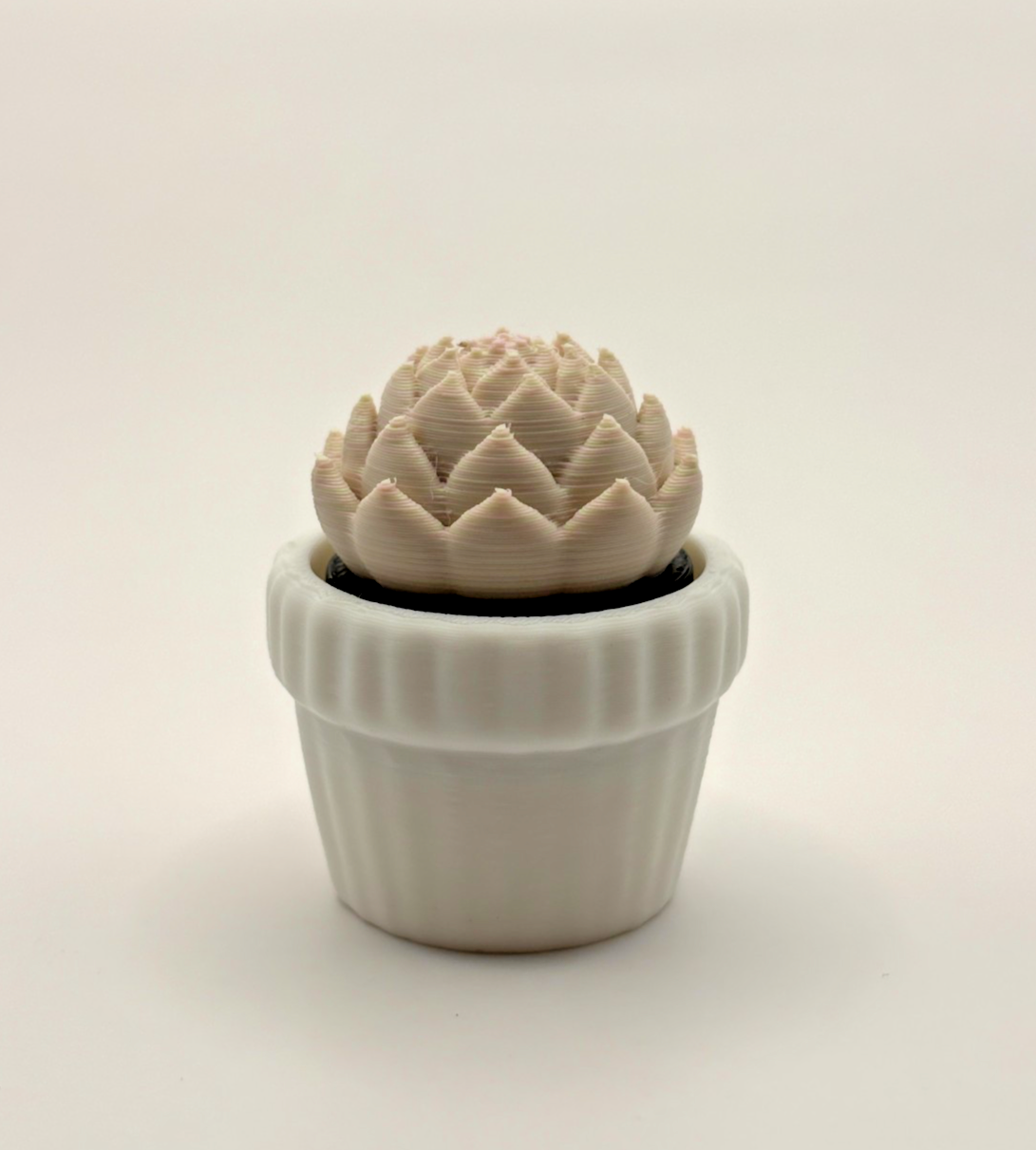 3D Printed Succulent Fidget Toy Mini Potted Plant Desk Toy Choose Color