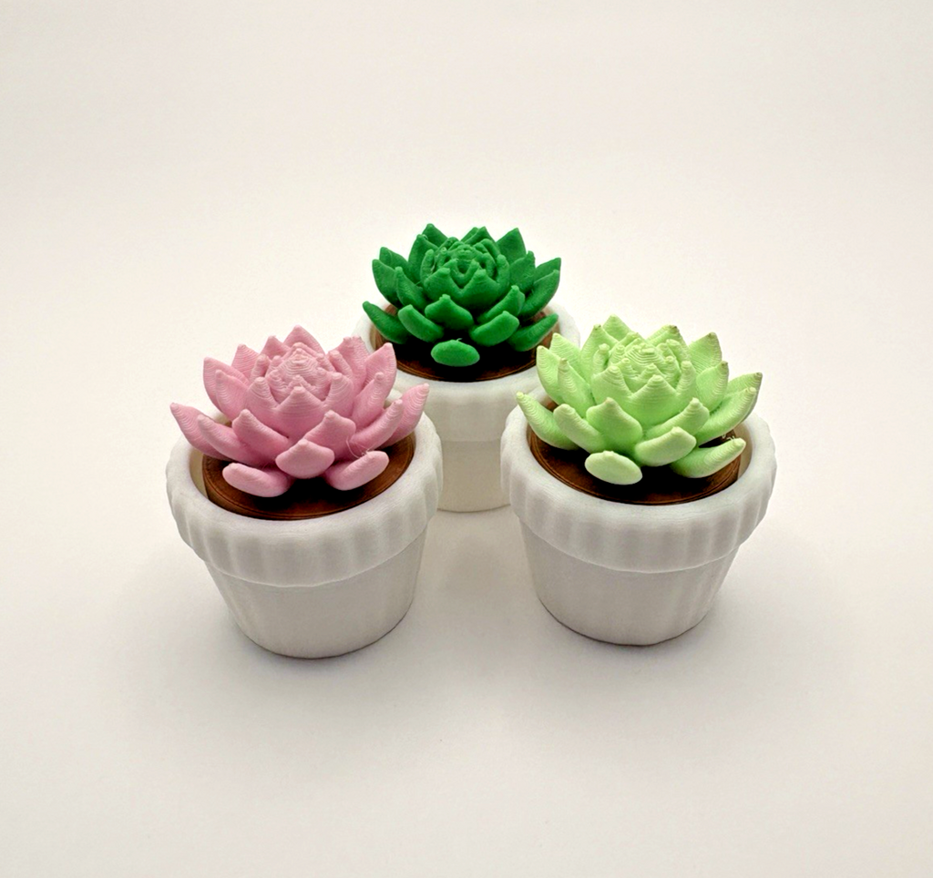 3D Printed Succulent Fidget Toy Mini Potted Plant Desk Decor Stress Relief