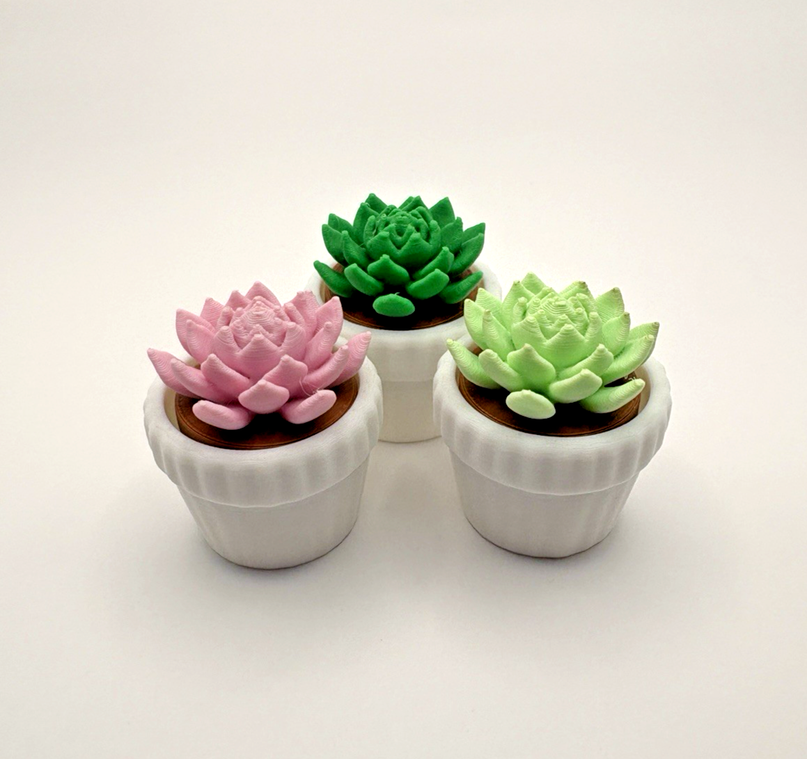 3D Printed Succulent Fidget Toy Mini Potted Plant Desk Decor Stress Relief