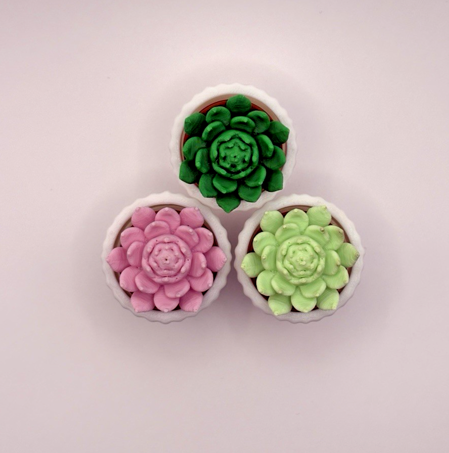 3 Pack 3D Printed Succulent Fidget Toys Mini Potted Plants Desk Decor Gift