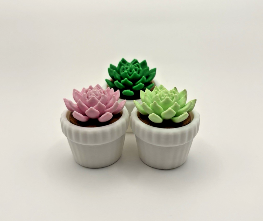 3D Printed Succulent Fidget Toy Mini Potted Plant Desk Decor Stress Relief