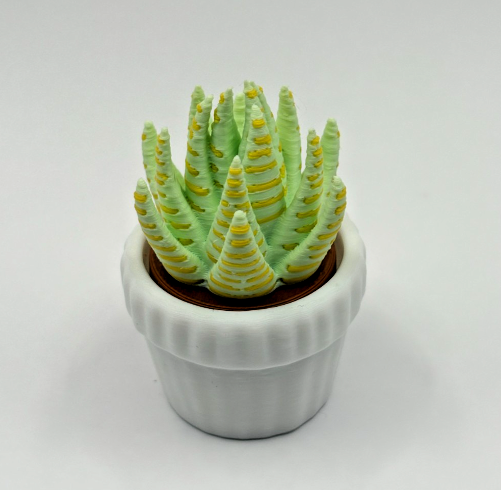 3D Printed Succulent Clicker Fidget Toy Mini Plant Desk Toy Stress Relief