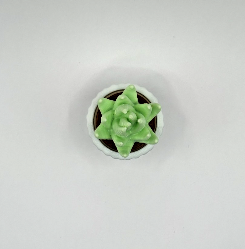 3D Printed Succulent Clicker Fidget Toy Mini Plant Desk Toy Stress Relief