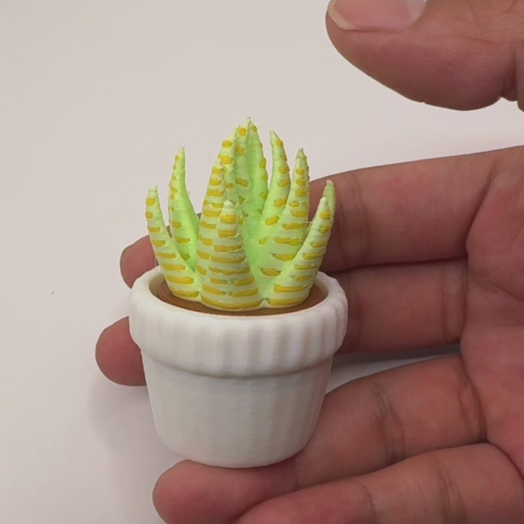 3D Printed Succulent Clicker Fidget Toy Mini Plant Desk Toy Stress Relief