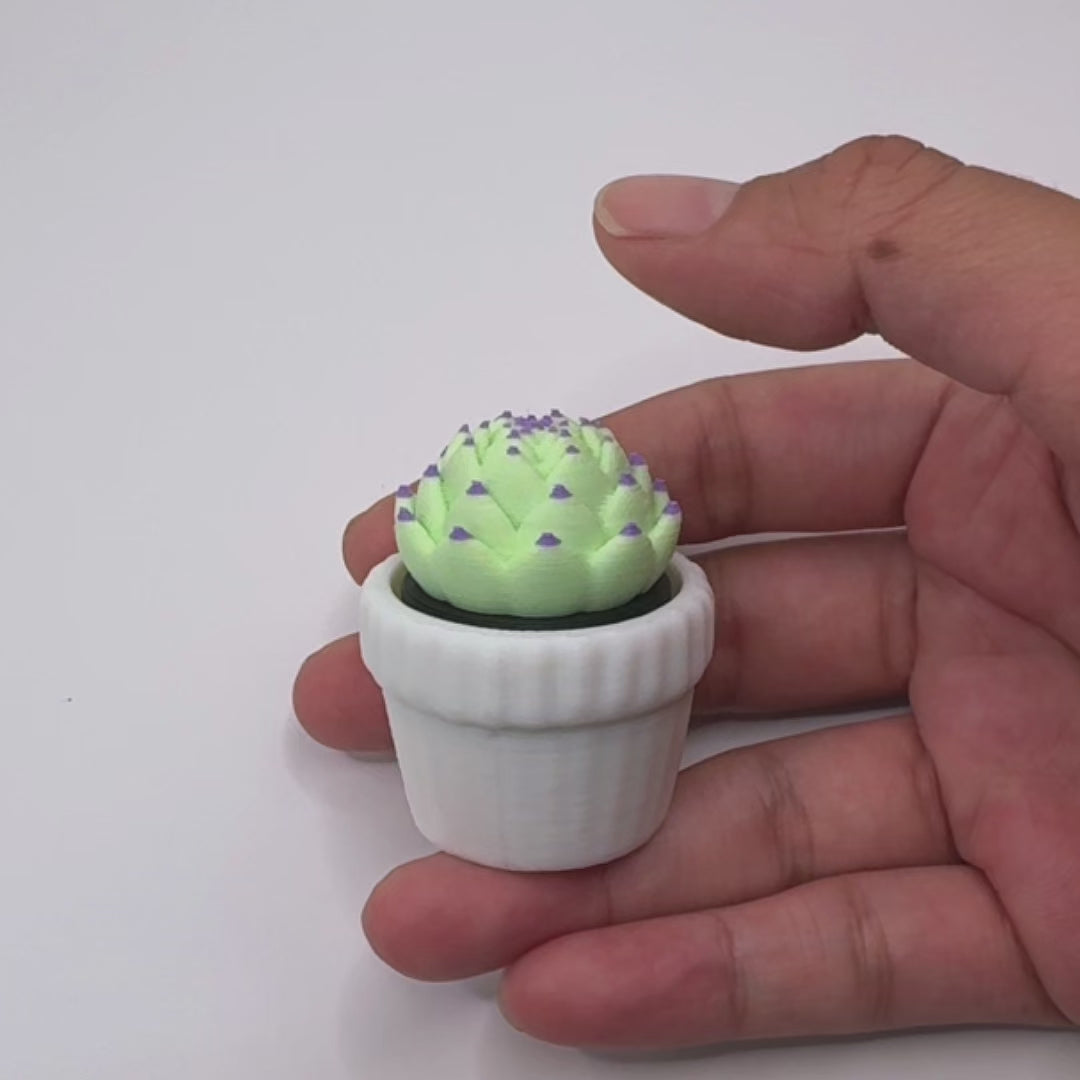 3 Pack 3D Printed Succulent Fidget Toys Mini Potted Plants Desk Decor Gift