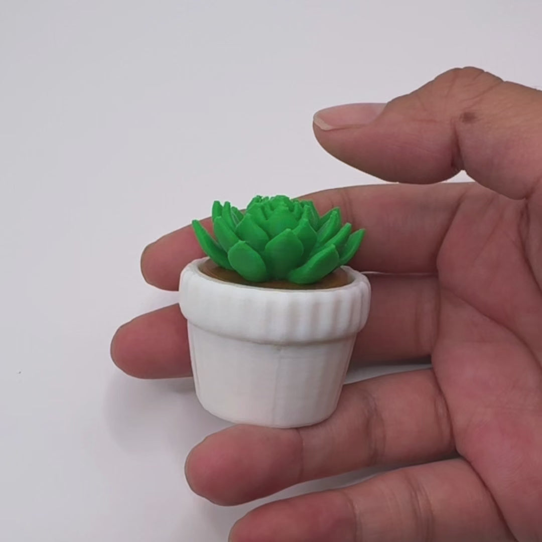 3 Pack 3D Printed Succulent Fidget Toys Mini Potted Plants Desk Decor Gift
